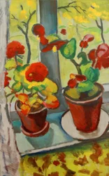 Blumen am Fenster (Begonien in Töpfen I)